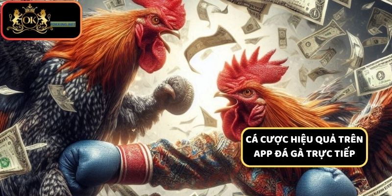 Bí quyết cá cược đá gà trên app dễ dàng thắng lớn