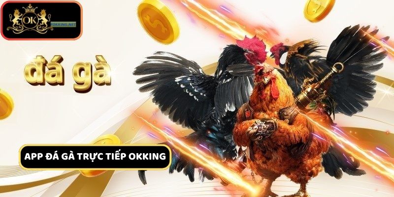 Thông tin chung về app đá gà trực tiếp