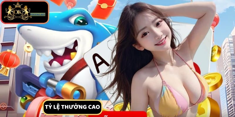 Cung cấp tỷ lệ thưởng cao