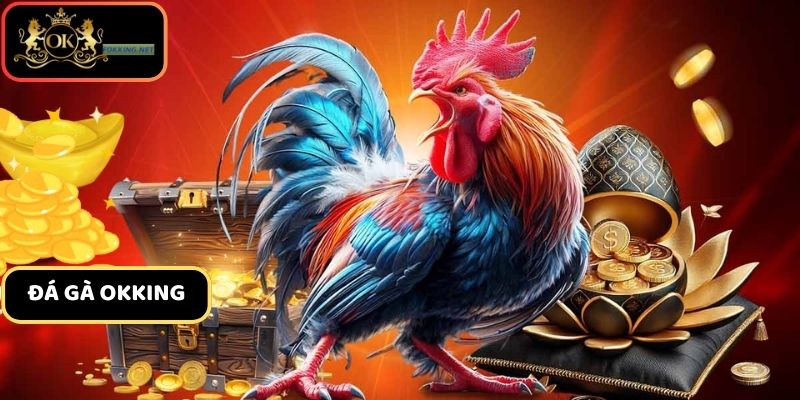 Giới thiệu tổng quan về sảnh đá gà Okking