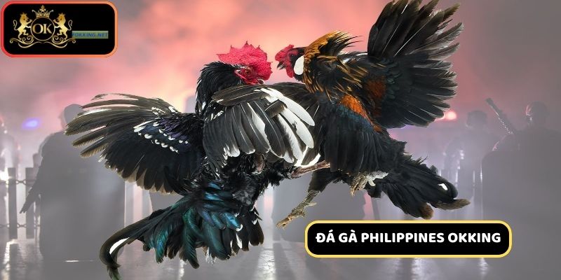 Đôi nét về đá gà Philippines