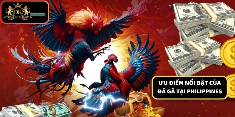 Những ưu điểm nổi bật của đá gà tại Philippines