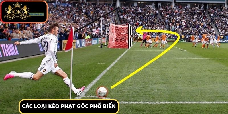Các loại kèo phạt góc phổ biến người chơi nên biết