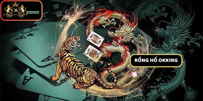 Tổng quan về Rồng Hổ OKKing